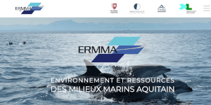ERMMA